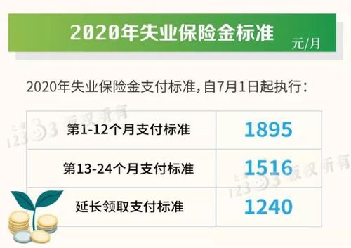 7月拍了拍你 上海一大波新规新举措7月1日起施行,请收好